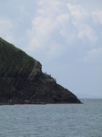 SX22731 Three Cormorants on cliff.jpg